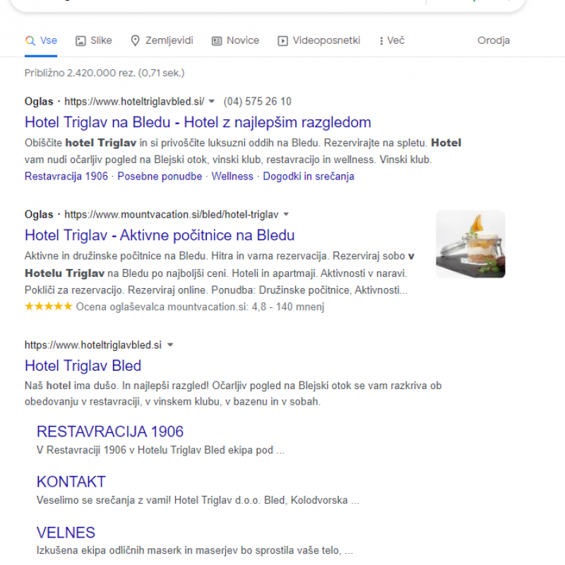  Zadetki spletnega brskalnika Google